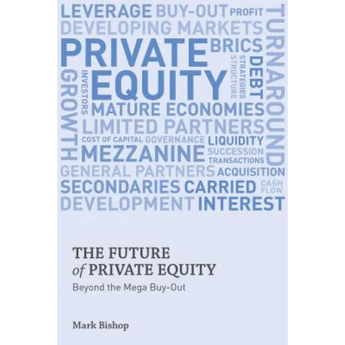 The Future of Private Equity: Beyond the Mega Buyout - Hardcover