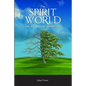 The Spirit World from a Christian Perspective - Paperback