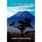 Nature's Ancient Religion: Orisha Worship & Ifa - Paperback