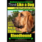 Bloodhound, Bloodhound Training AAA AKC: Think Like a Dog, but Don't Eat Your Poop! Bloodhound Breed Expert Training: Here's EXACTLY How to Train Your - Paperback