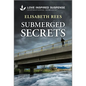 Submerged Secrets - Paperback