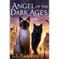 Angel of the Dark Ages: A Hero's Journey Fantasy for Cat Lovers - Paperback