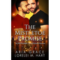 The Mistletoe Promise: An MM Nonshifter Mpreg Christmas Romance - Paperback