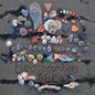 Beachcomber's ABC's - Paperback