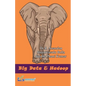 Bigdata & Hadoop - Paperback