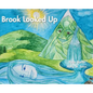 Brook Looked Up - Hardcover
