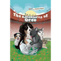 The Adventures of Oreo - Paperback
