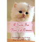 A Guide For New Cat Owners: Everything You Need To Know About Raising Your First Cat: How Do I Care For My New Kitten? - Paperback