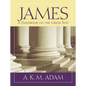 James: A Handbook on the Greek Text - Paperback
