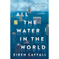All the Water in the World - Paperback