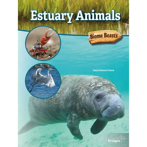 Estuary Animals - Hardcover
