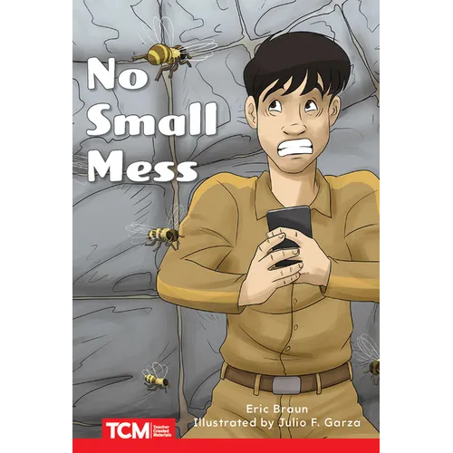 No Small Mess: Level 1: Book 7 - Paperback
