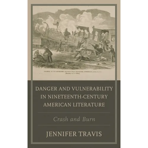 Danger and Vulnerability in Nineteenth-century American Literature: Crash and Burn - Paperback