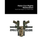 Felon Gun Rights Restoration: South East Region Gun Relief Guide - Paperback