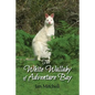 The White Wallaby of Adventure Bay - Paperback