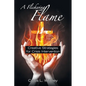 A Flickering Flame: Creative Strategies for Crisis Intervention - Paperback