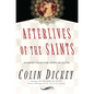 Afterlives of the Saints: Stories from the Ends of Faith - Hardcover