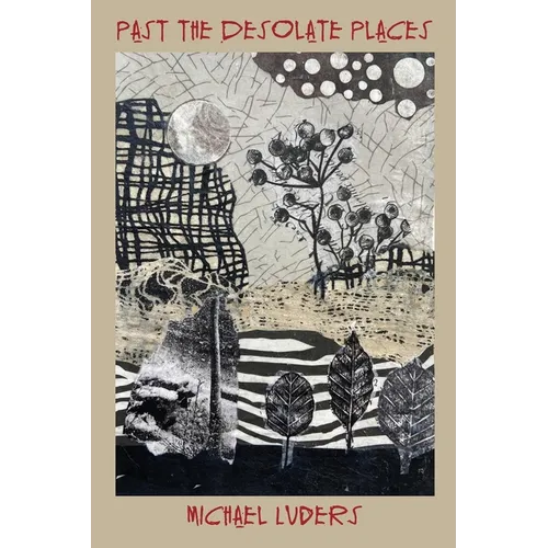 Past the Desolate Places - Paperback