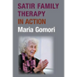 Satir Family Therapy in Action - Paperback