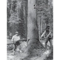 Crosscut Saw Manual - Paperback