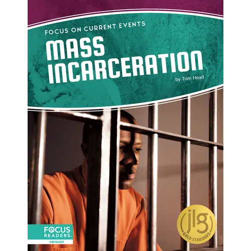 Mass Incarceration - Paperback