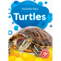 Turtles - Library Binding