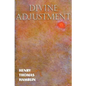 Divine Adjustment - Paperback