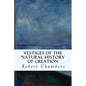 Vestiges of the Natural History of Creation - Paperback
