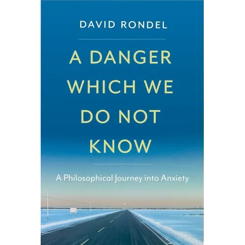 A Danger Which We Do Not Know: A Philosophical Journey Into Anxiety - Hardcover