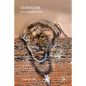 Seanachai: the storyteller's story - Paperback