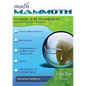 Math Mammoth Grade 2-B Worktext, International Version - Paperback