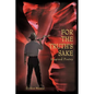 For The Truth's Sake - Paperback