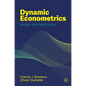 Dynamic Econometrics: Models and Applications - Paperback