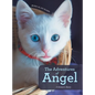 The Adventures of Angel: A Kitten's Story - Hardcover