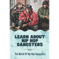 Learn About Hip Hop Gangsters: The World Of Hip Hop Gangsters: Feared Rapper Pf Entertainment Industry - Paperback