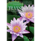 Transitions: How Women Embrace Change and Celebrate Life - Paperback