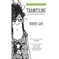 Trampoline: An Illustrated Novel - Paperback