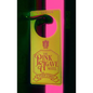 The Pink Agave Motel: & Other Stories - Paperback