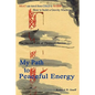 My Path to Peaceful Energy - Paperback