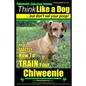 Chiweenie, Chiweenie Training AAA AKC Think Like a Dog...but Don't Eat Your Poop!: Chiweenie Breed Expert Dog Training - Here's EXACTLY How To Train Y - Paperback