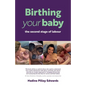 Birthing your baby: the second stage of labour - Paperback