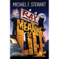Ray Vs the Meaning of Life - Paperback