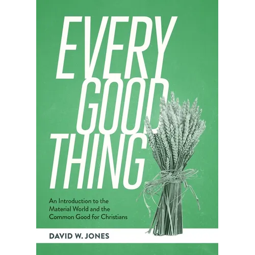 Every Good Thing: An Introduction to the Material World and the Common Good for Christians - Paperback