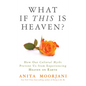 What If This Is Heaven?: How Our Cultural Myths Prevent Us from Experiencing Heaven on Earth - Paperback