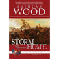 The Storm That Carries Me Home: A Story of the Civil War - Hardcover
