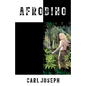 Afrobino: An Original Short Story - Paperback