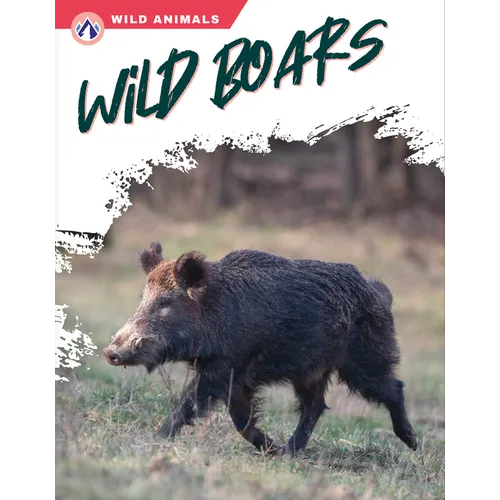 Wild Boars - Library Binding