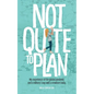 Not Quite to Plan: My experience of the global pandemic and a military coup with a newborn baby - Paperback