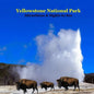 Yellowstone Park Attractions and Sights to See Kids Book: Great Book for kids about Yellowstone National Park - Paperback