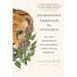 Journeying Through the Invisible - Paperback